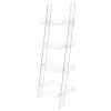 Clear Acrylic Ladder Bookcase